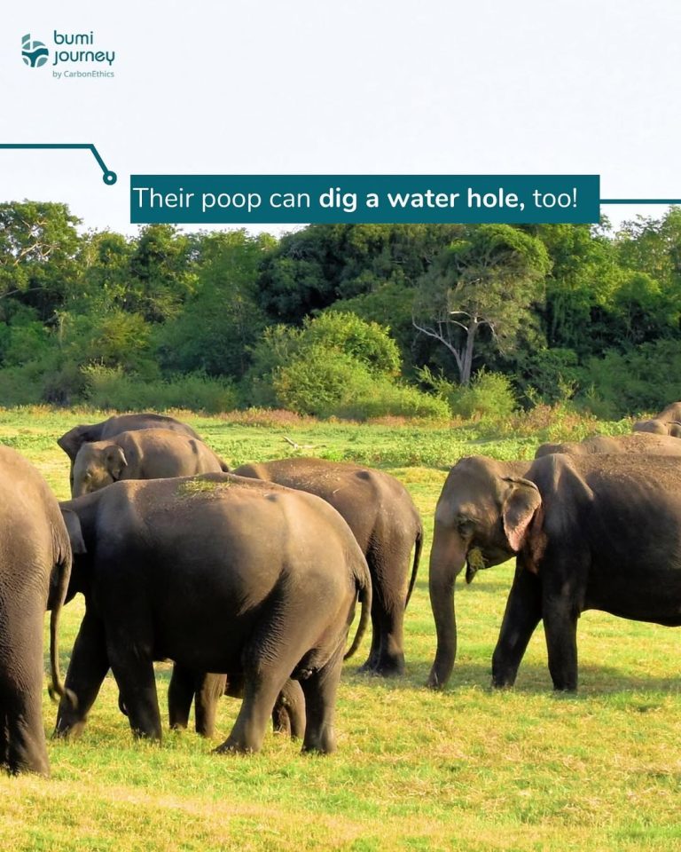 SaveClip.App_347393526_1316798472561490_1613417517210602878_n