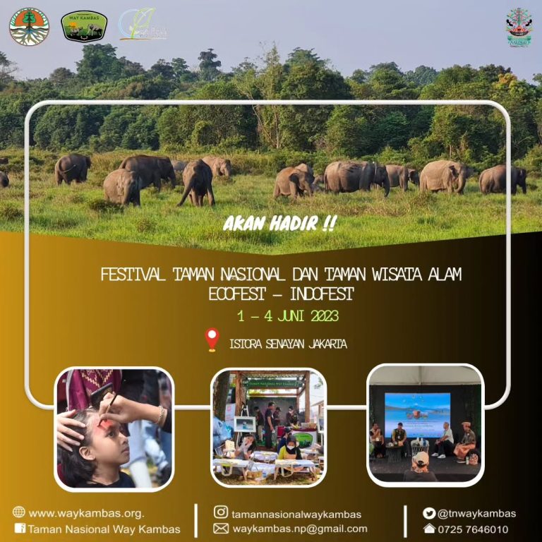 SaveClip.App_350275624_146623215074612_6202441582061896154_n