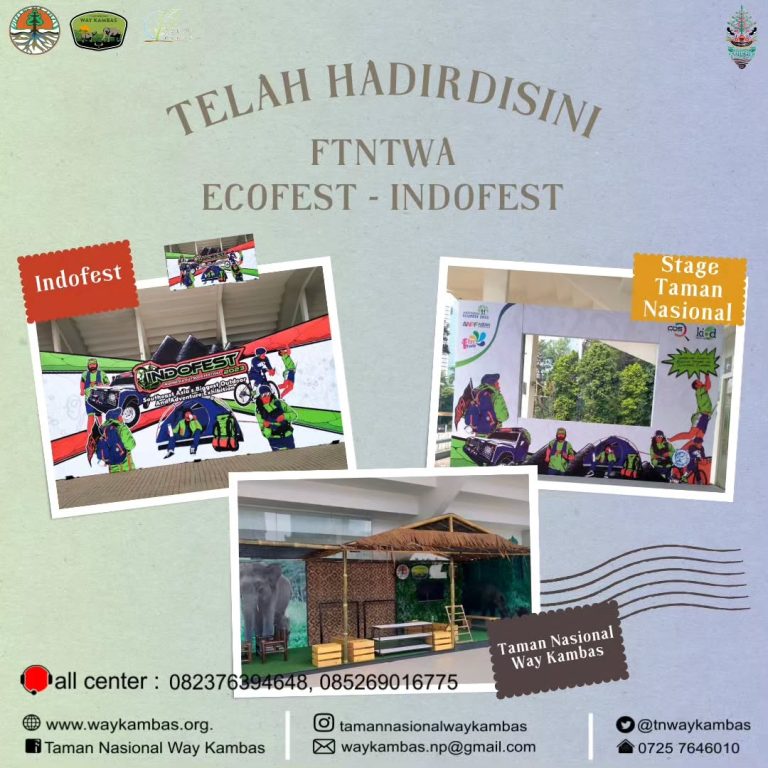 SaveClip.App_350333292_577299164517443_6703397666489883224_n