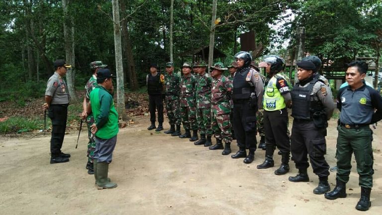 SaveClip.App_36663404_223046345083193_1140722508996018176_n