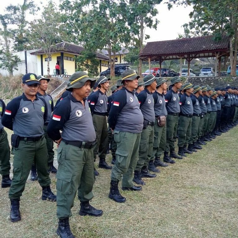 SaveClip.App_36692203_248907012574131_1753470460730802176_n