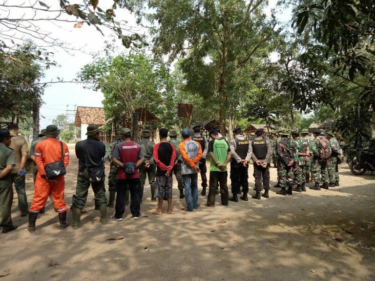 SaveClip.App_37169573_977645322417070_8235343466431774720_n