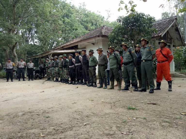 SaveClip.App_37204848_235133187112718_1565840227379970048_n