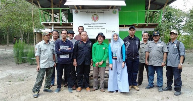 SaveClip.App_42106837_246176529362154_1247043949542499164_n