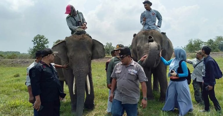 SaveClip.App_42135252_239539956722394_4609955808959258114_n