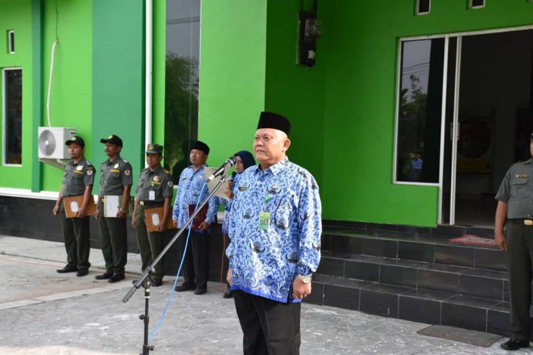 SaveClip.App_42845765_181961372693139_6086082350343940336_n