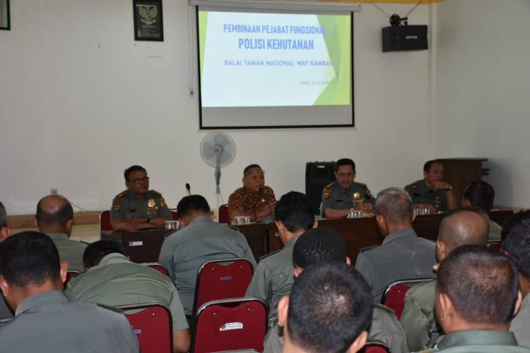 SaveClip.App_43914228_479087745918616_6328746323101307416_n