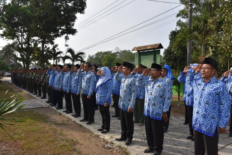 SaveClip.App_43986223_351716768909977_8877157378064930769_n