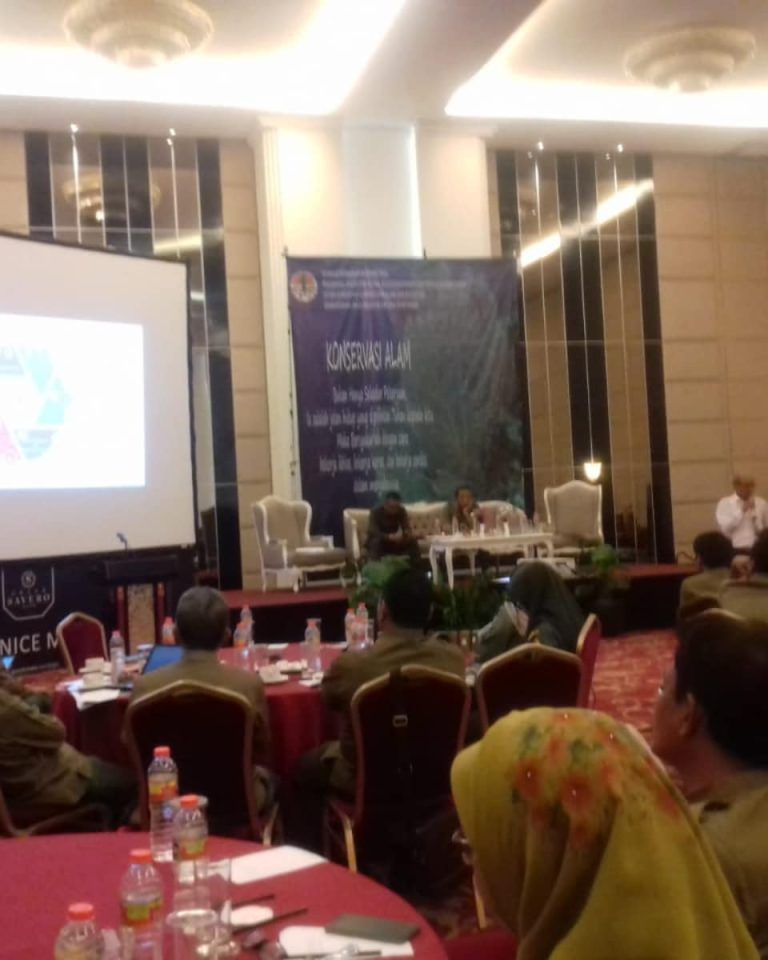 SaveClip.App_44744360_575699129541487_1966509783552693367_n