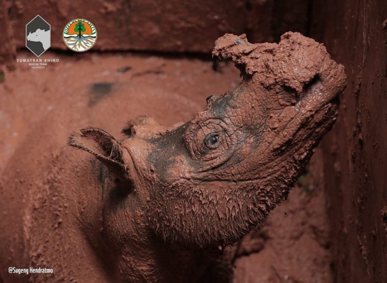 SaveClip.App_44871203_2070046123018090_1842813022752510747_n (1)