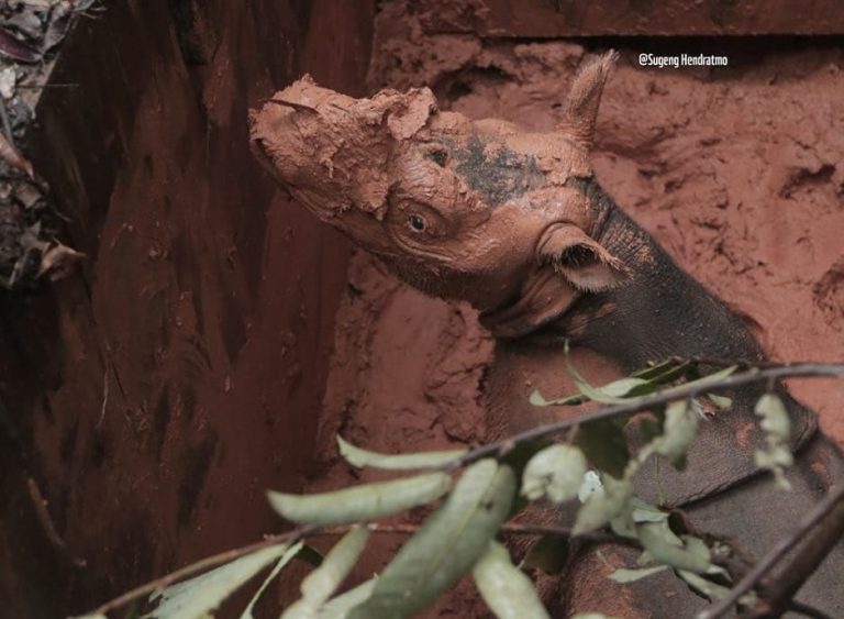 SaveClip.App_45619674_345840309542712_6049025510536504909_n (1)