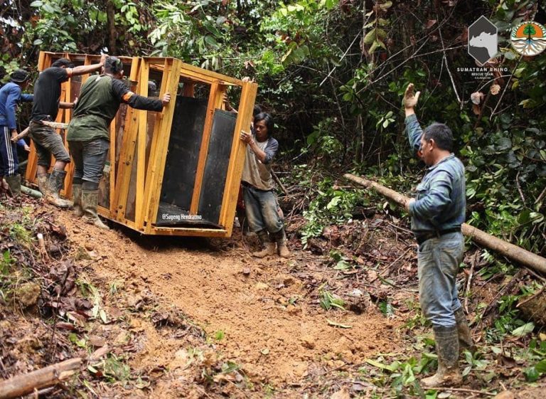 SaveClip.App_46319779_375950743212367_1353104694510566253_n (1)