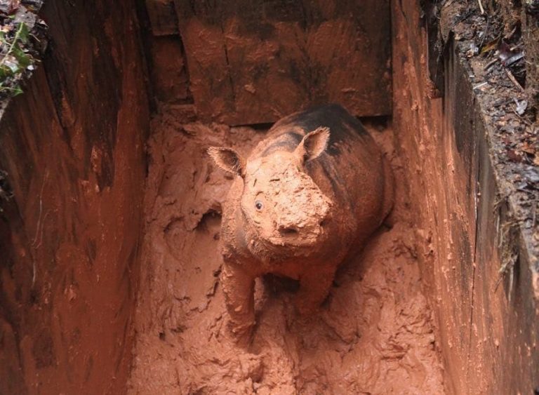 SaveClip.App_46640282_203015657251323_6820221225033372715_n (1)