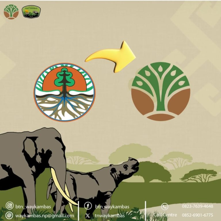 SaveClip.App_467733495_2310355642675514_3732852660931117638_n