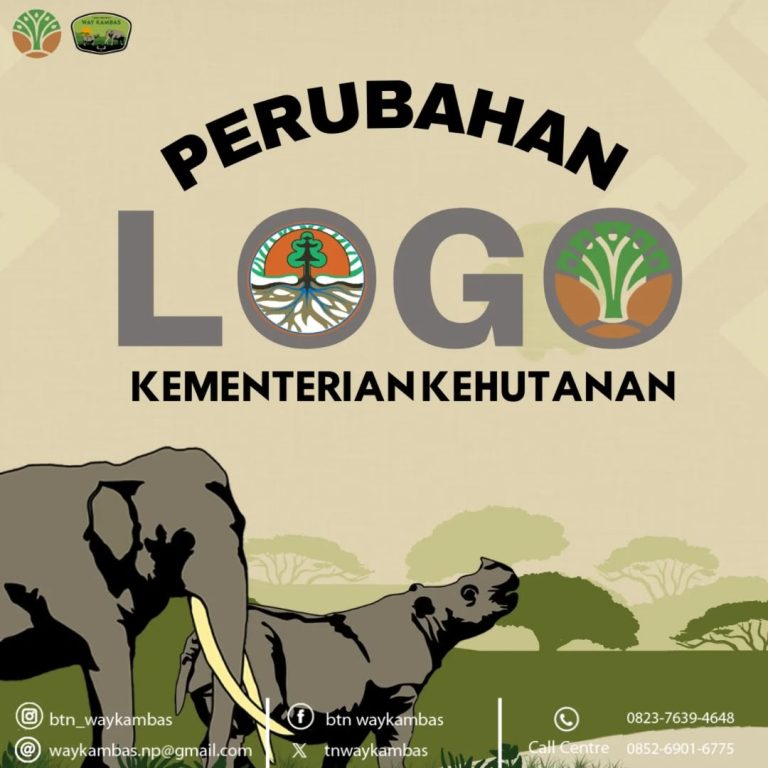 SaveClip.App_467795338_1499503334065991_7962107191974019257_n