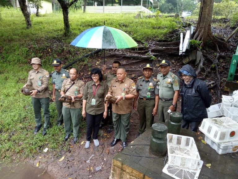 SaveClip.App_47690419_1849820155127294_6585777627910629072_n