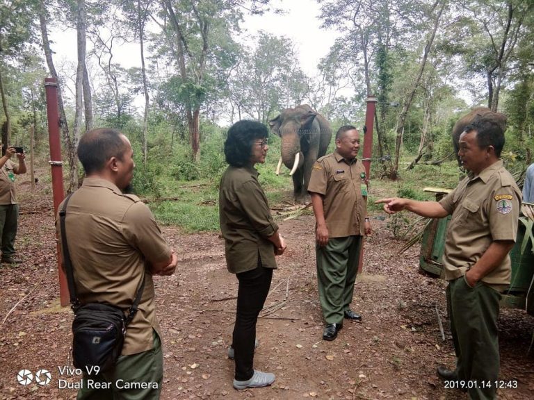 SaveClip.App_47691254_783604935306709_9068842887713511030_n