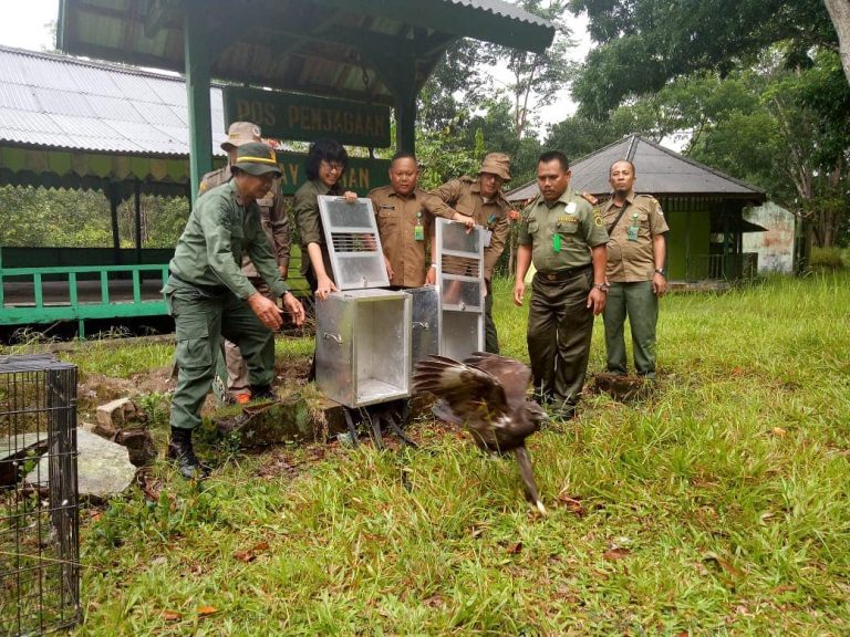 SaveClip.App_47693268_291745964873087_8202907959956770385_n