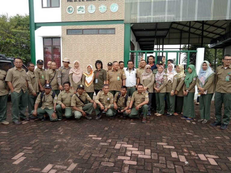 SaveClip.App_49290809_2753853358173426_905842821052511387_n