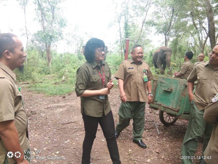 SaveClip.App_49815618_157507225230554_2941095096716612535_n