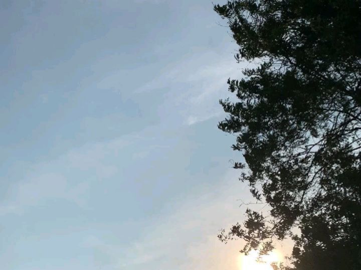 SaveClip.App_624716296_1602898100843648_749225088477460226_n