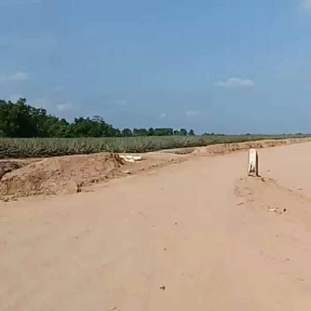 SaveClip.App_625263567_1216719650436939_369757897611285380_n