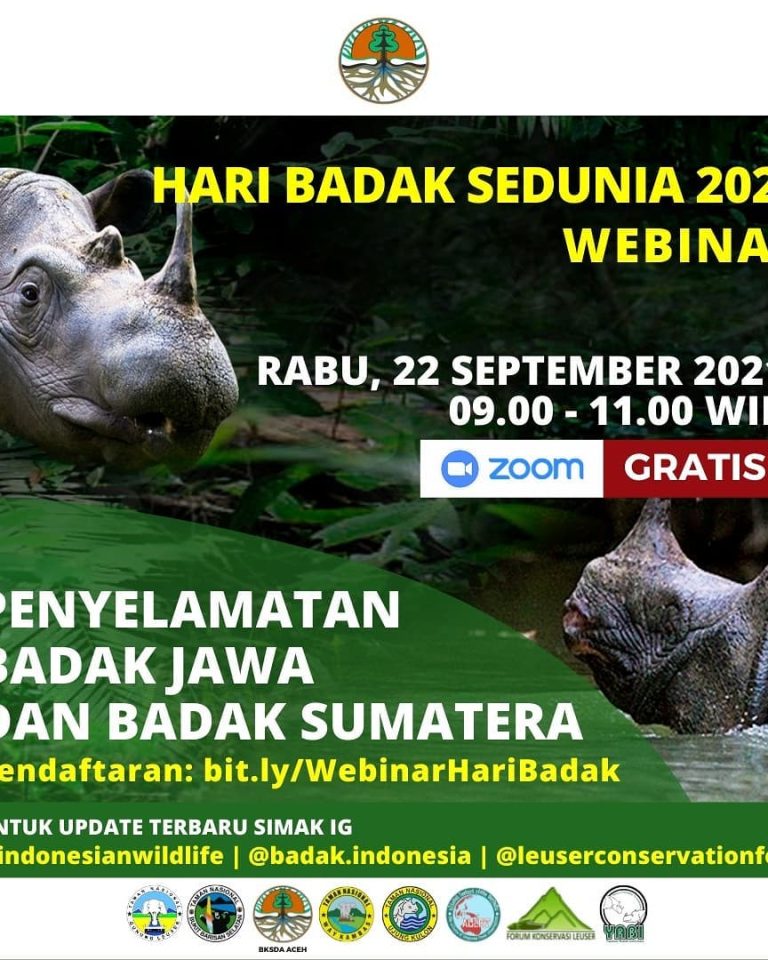 SaveClip.App_640418500_18076341539617827_8905039127898988327_n