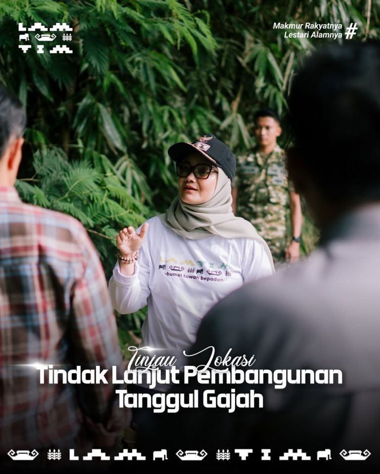 SaveClip.App_642424675_18423948400188234_3620155392936737851_n