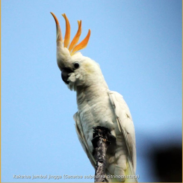 SaveClip.App_645636025_18031862702598585_7092627690578863380_n