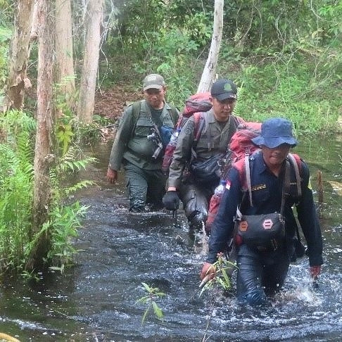 SaveClip.App_646046470_17984023040974222_6043134513689088795_n