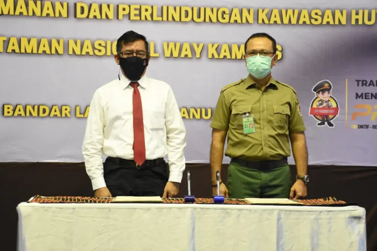 SaveClip.App_648978933_18072045452555949_376559119853205780_n