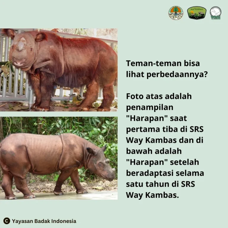 SaveClip.App_649215834_18003297230891031_4813312935834661364_n