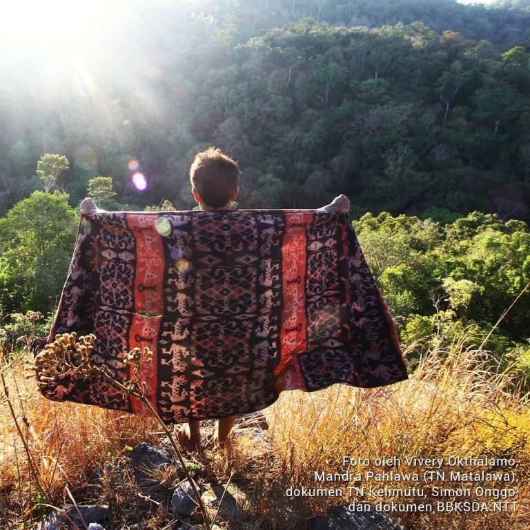 SaveClip.App_649217803_18089646845467099_133936231623385534_n