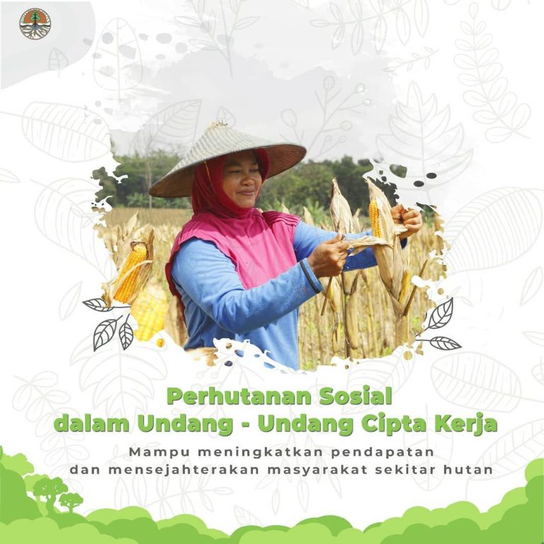 SaveClip.App_649222306_18094937744077279_5079041221300266630_n