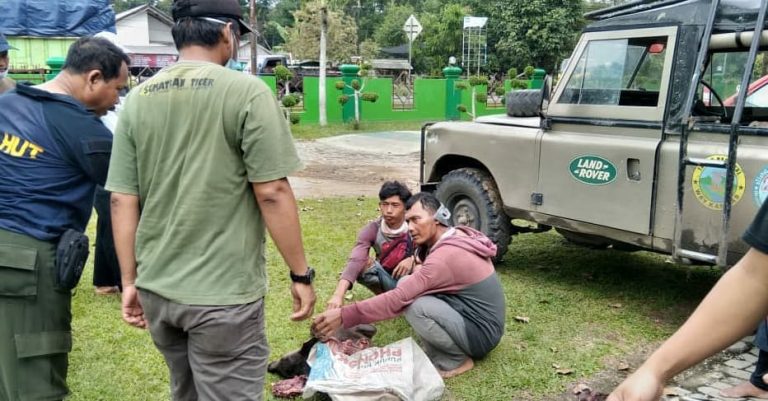 SaveClip.App_649411631_18120340024717853_3608005697783161768_n