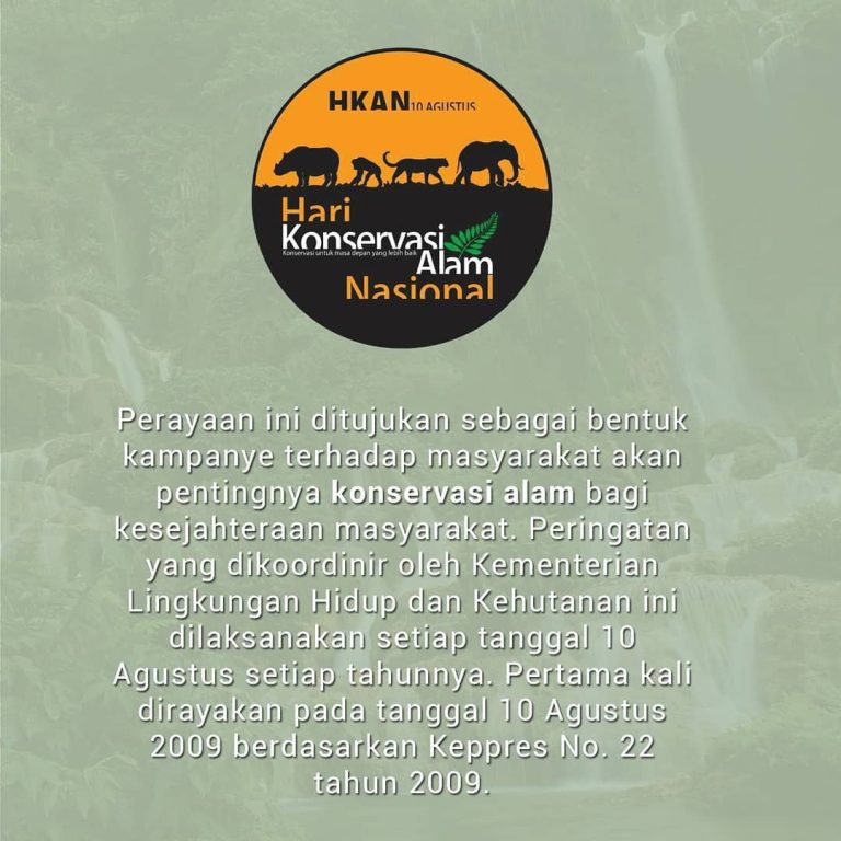 SaveClip.App_650488127_18064176548328865_3262213154871409197_n