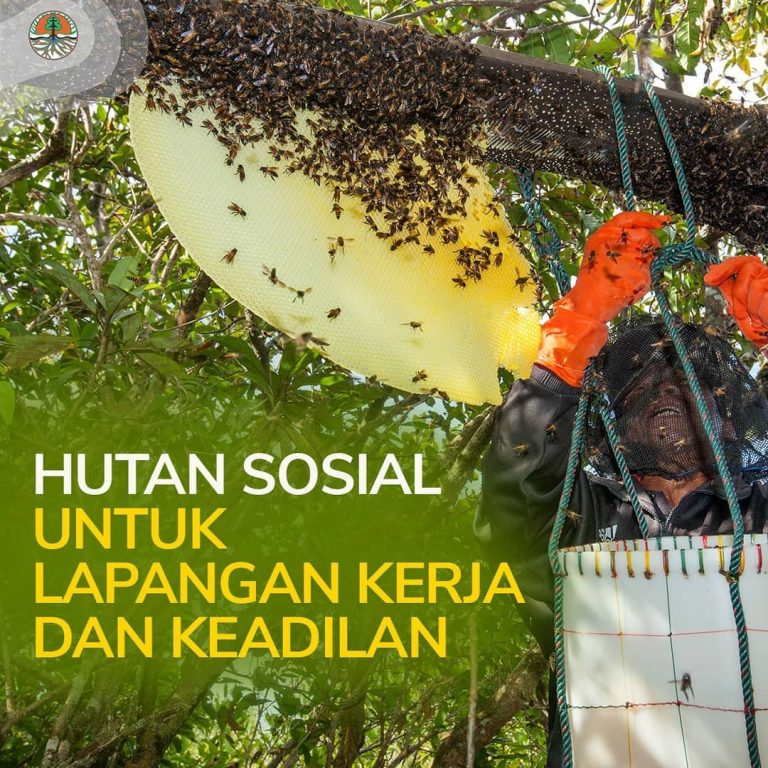 SaveClip.App_650646733_18124450450602212_5934445282679097726_n