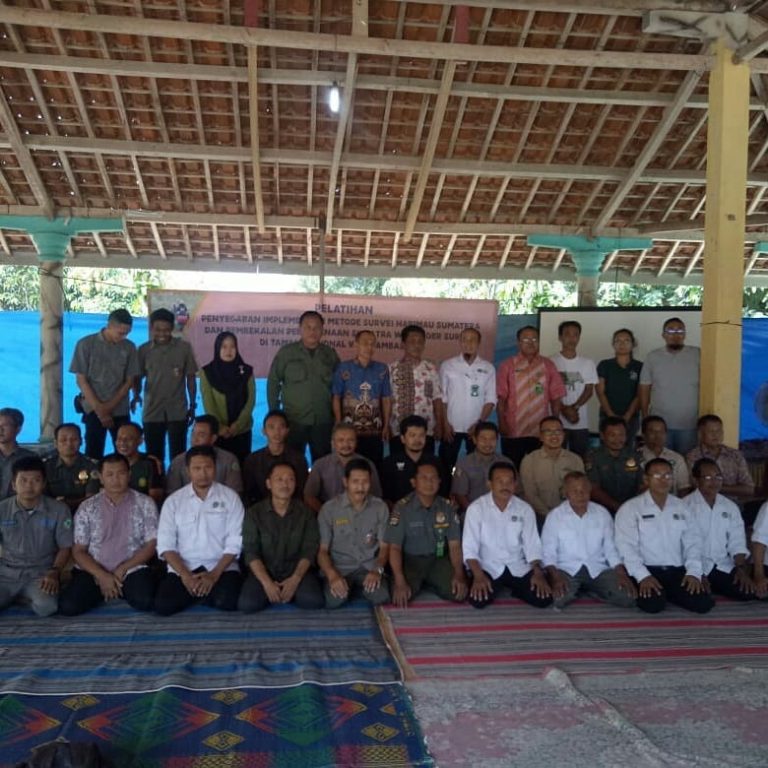 SaveClip.App_65210537_2327713527325664_6847282822628721136_n