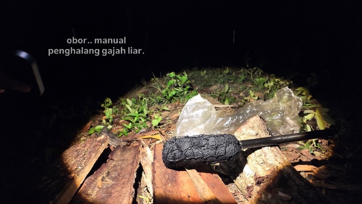 SaveClip.App_656286700_18571826578007905_8553386909728562865_n