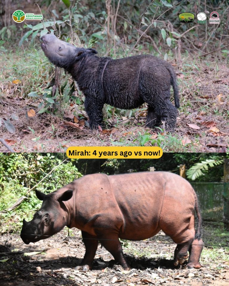 SaveClip.App_656480840_18462925885101684_7331227109653337447_n