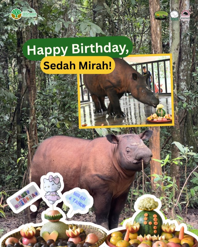 SaveClip.App_656494898_18462925876101684_191821196384645784_n