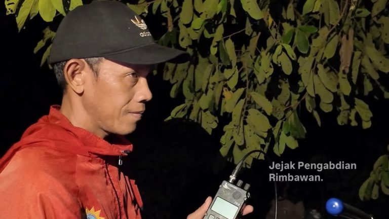 SaveClip.App_657725912_18571826542007905_6851514717131175390_n