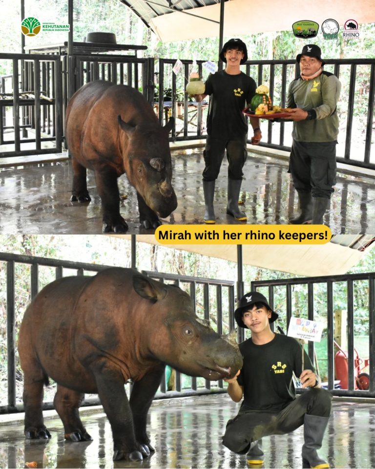 SaveClip.App_658121796_18462925894101684_6532304383714080608_n