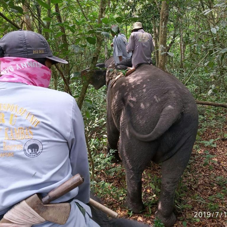 SaveClip.App_65880026_332107154402910_7545854622602294583_n