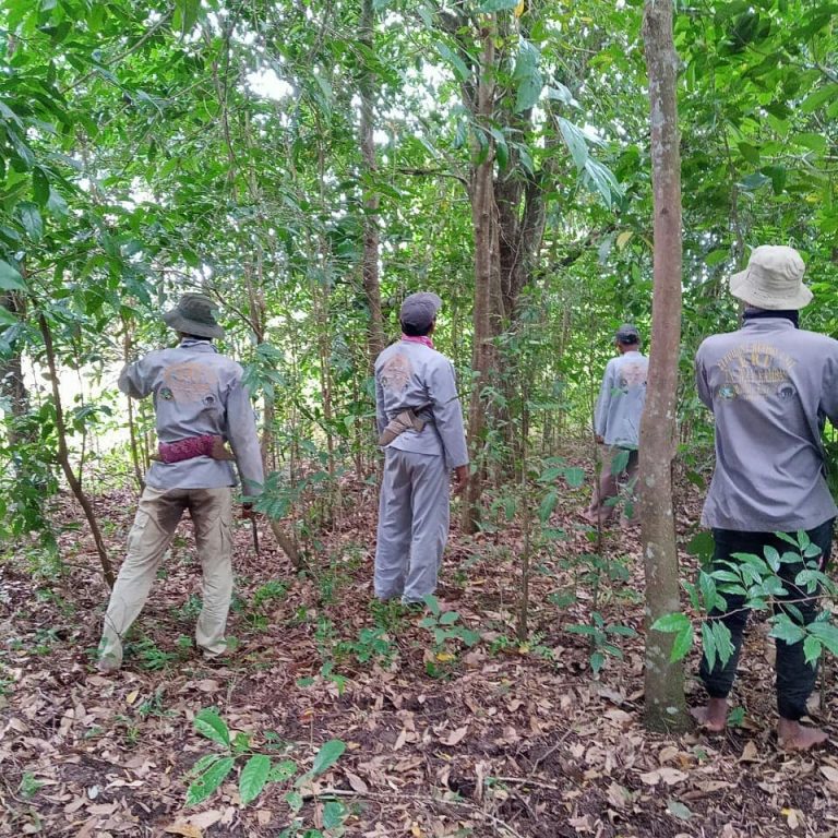 SaveClip.App_65939118_117515326196818_2261006836263951637_n