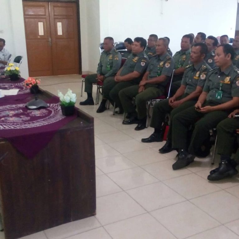 SaveClip.App_66184068_2492081171011630_2232779665323926013_n