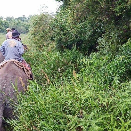 SaveClip.App_66262354_650222278777224_8574993046404794790_n