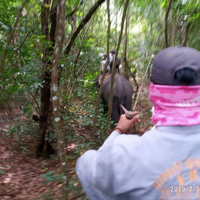 SaveClip.App_67197587_868773730174242_3600940904636903878_n