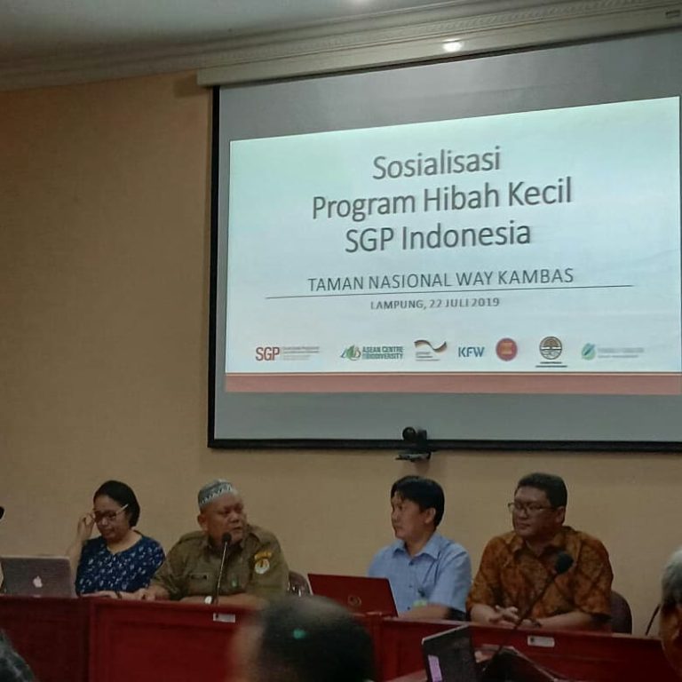 SaveClip.App_67270002_2325515697698626_714250027394450446_n