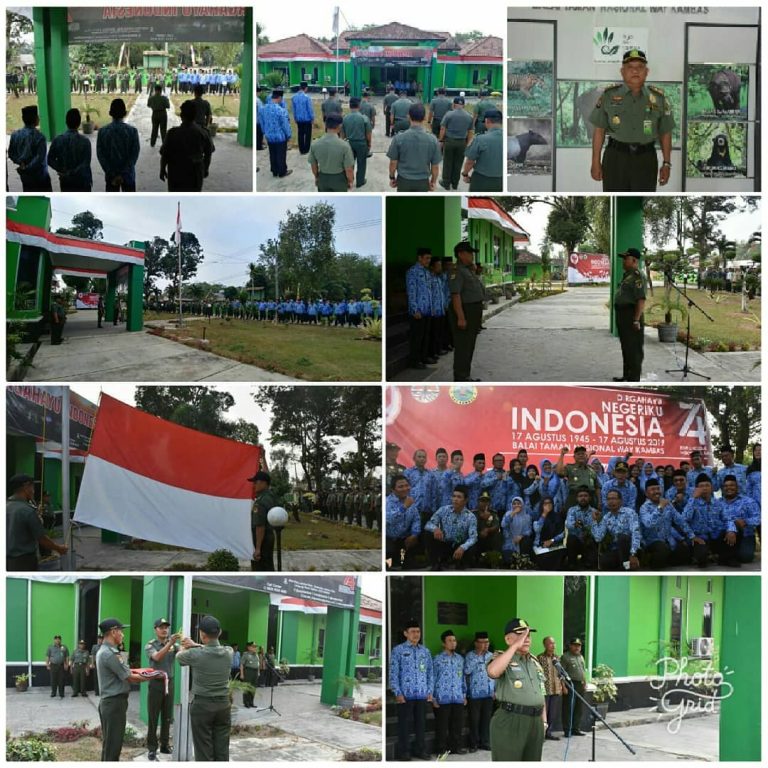 SaveClip.App_67751752_399467974042510_6110058265519723245_n